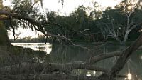 Cooper Creek at dusk